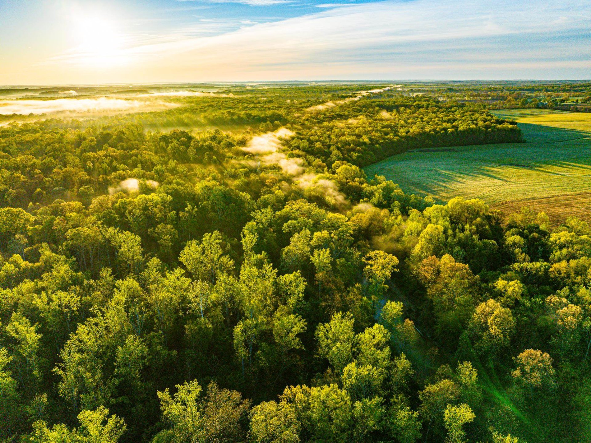 280 FIELDS, Dukedom, TN, 38226