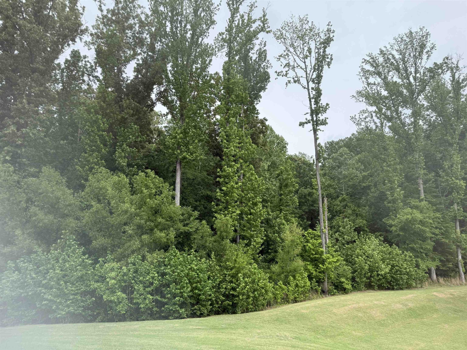 WINDWAY, Bartlett, TN, 38135