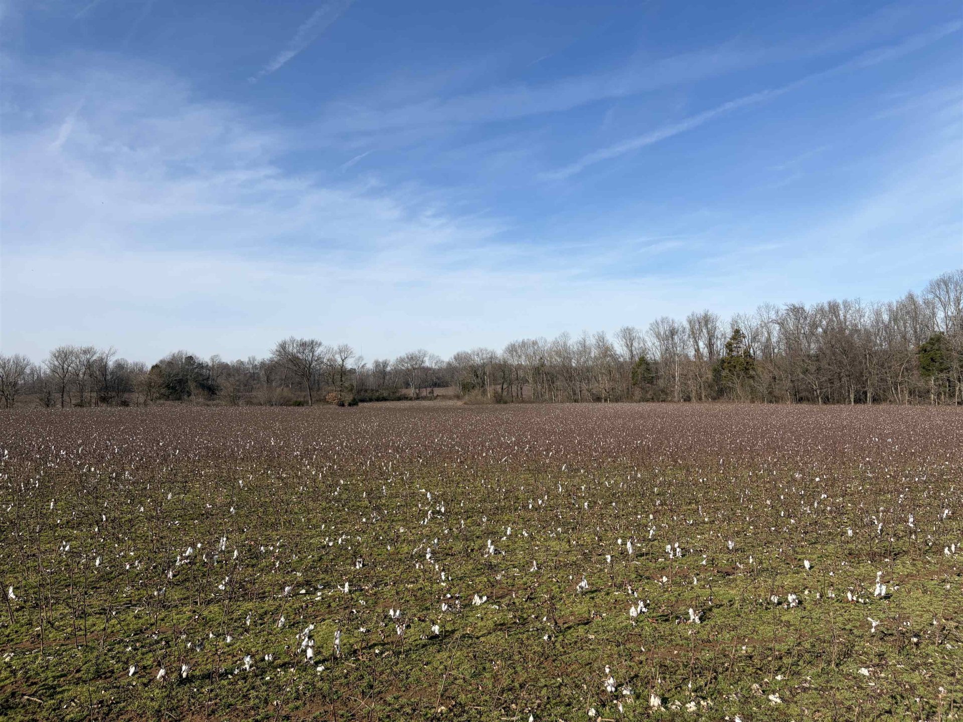 353 COTTON GROVE, Jackson, TN, 38305