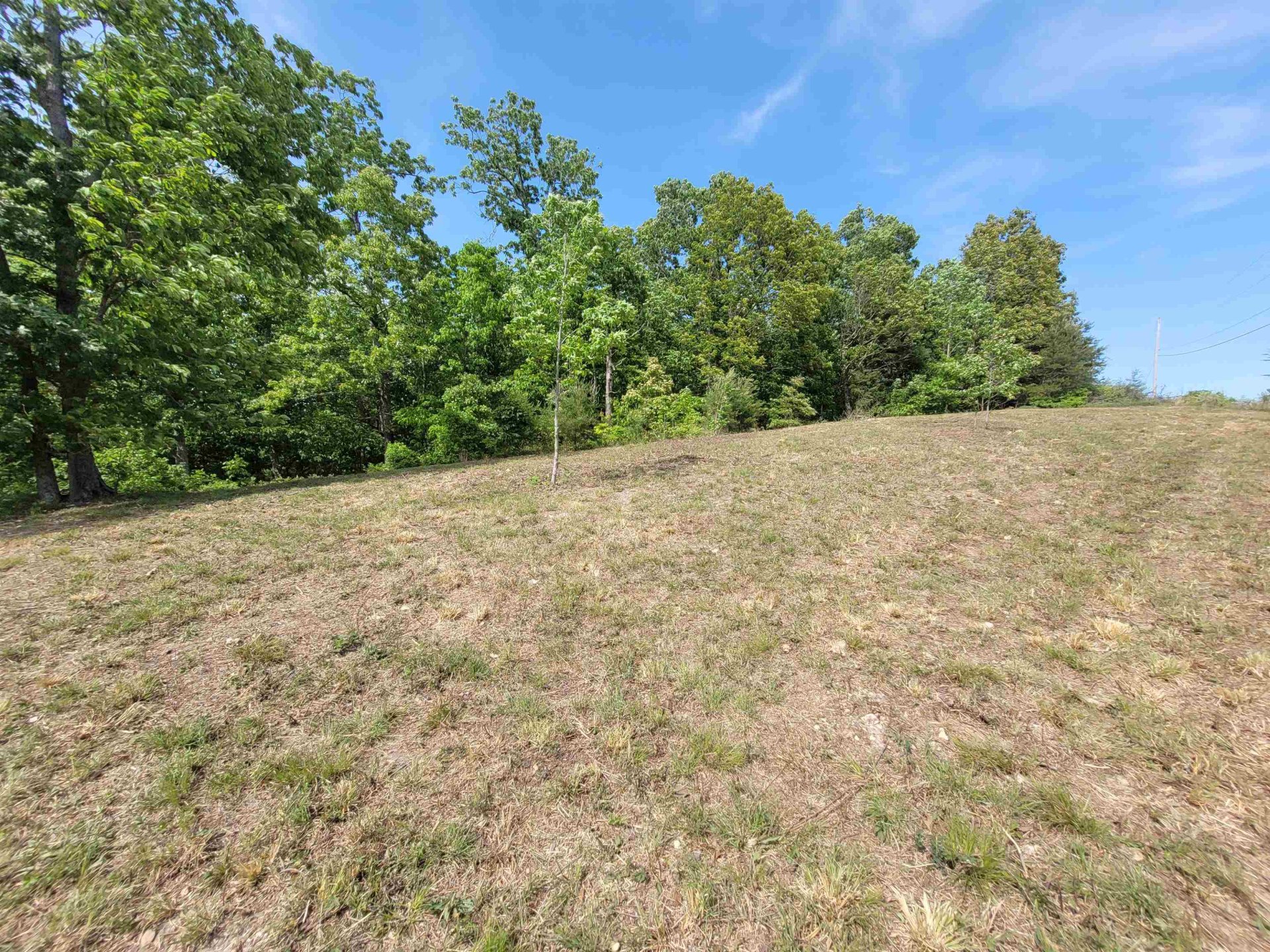 1 TURTLE POINT, Waverly, TN, 37185