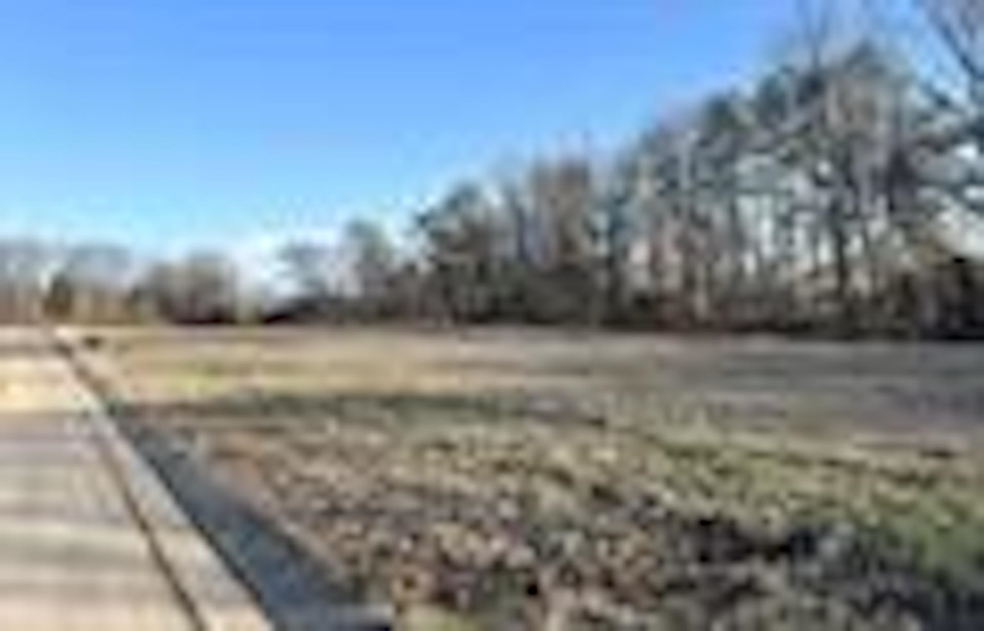 55 YORK COMMONS, Ripley, TN, 38063