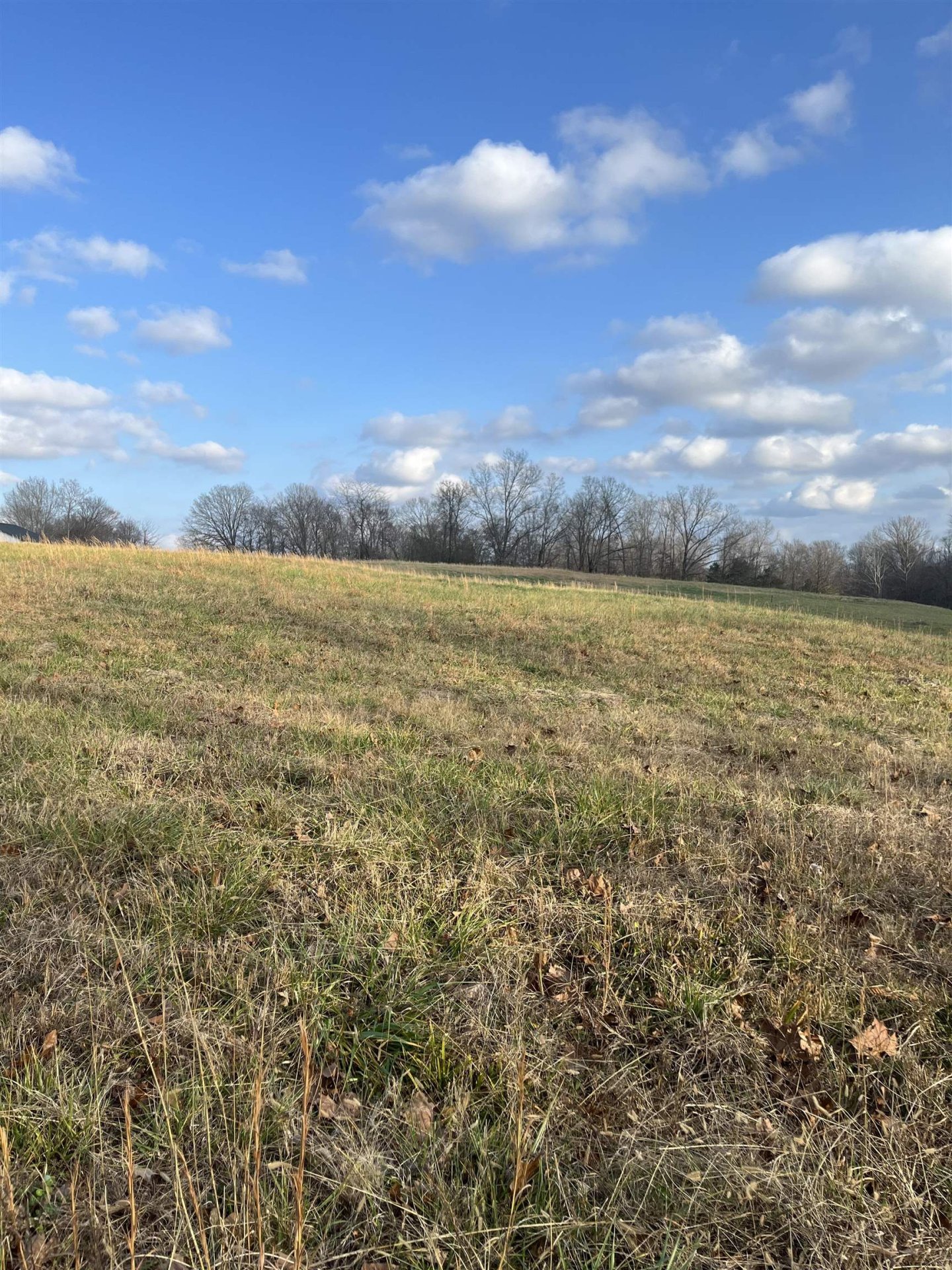 2325 TOMLIN, Oakland, TN, 38068
