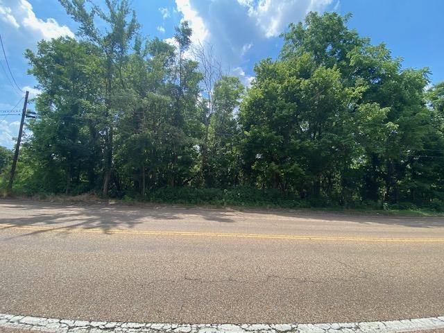HWY 18, Medon, TN, 38356