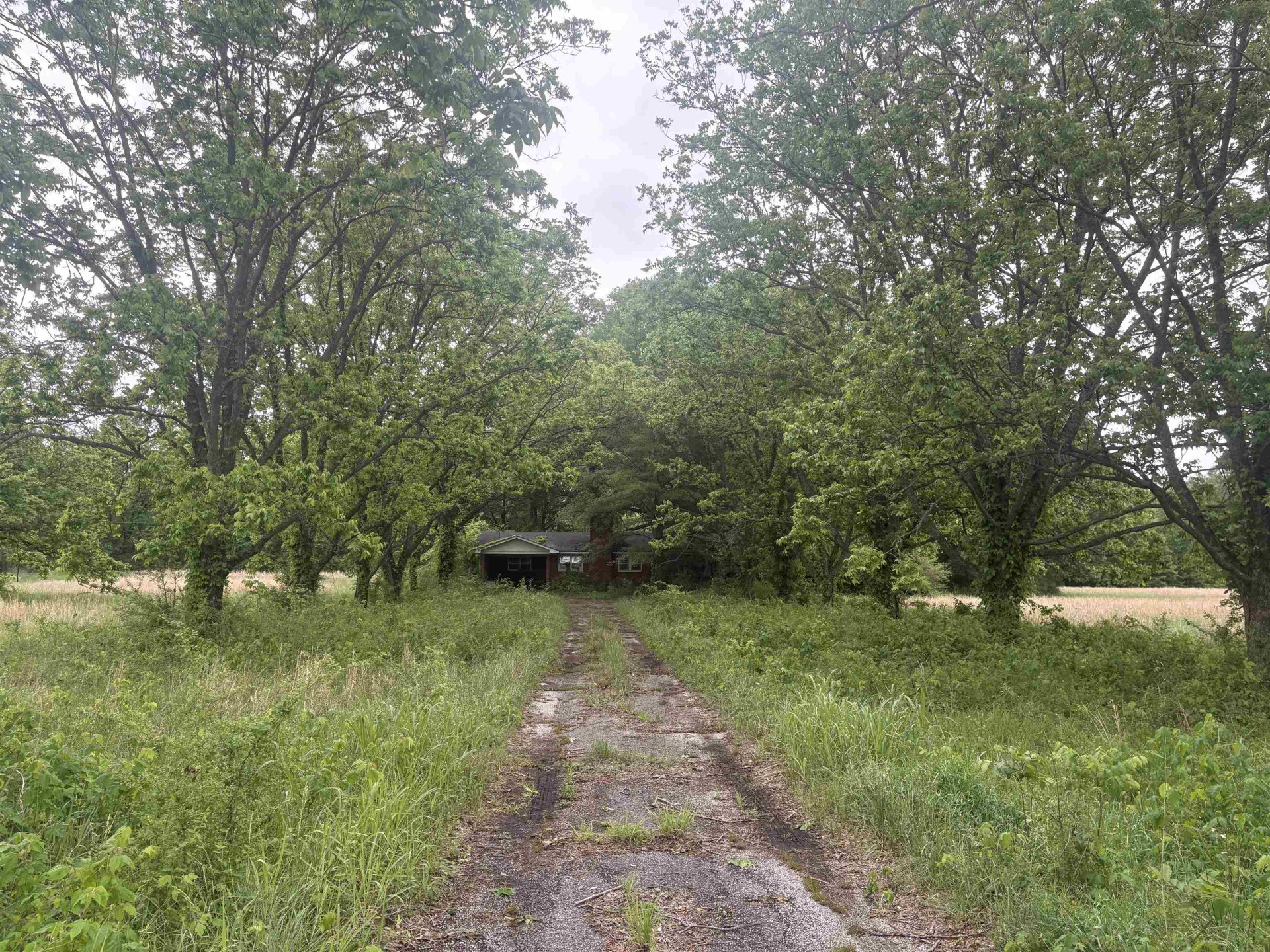3948 HWY 59, Covington, TN, 38019