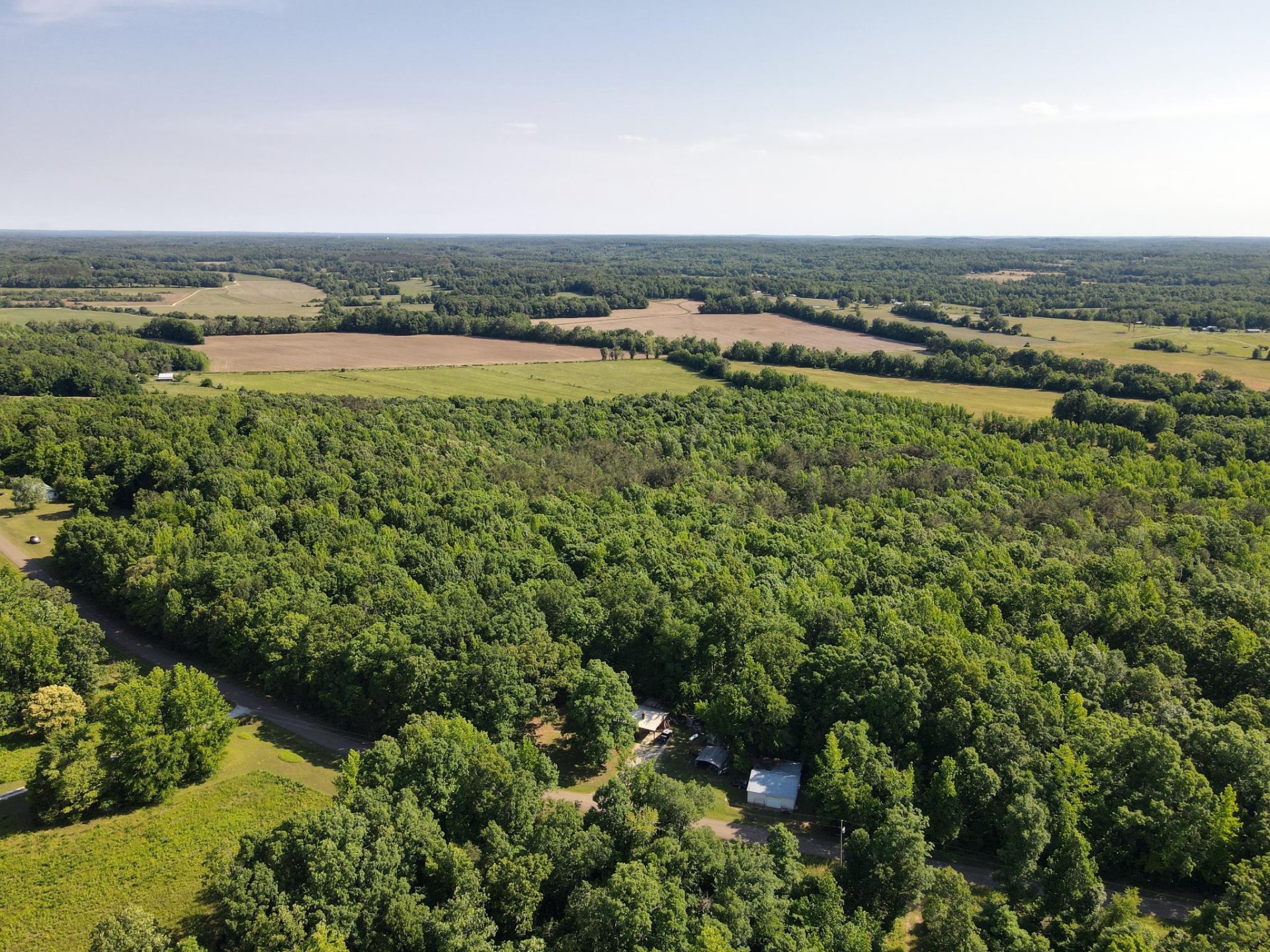 1 CARTER, Saltillo, TN, 38370