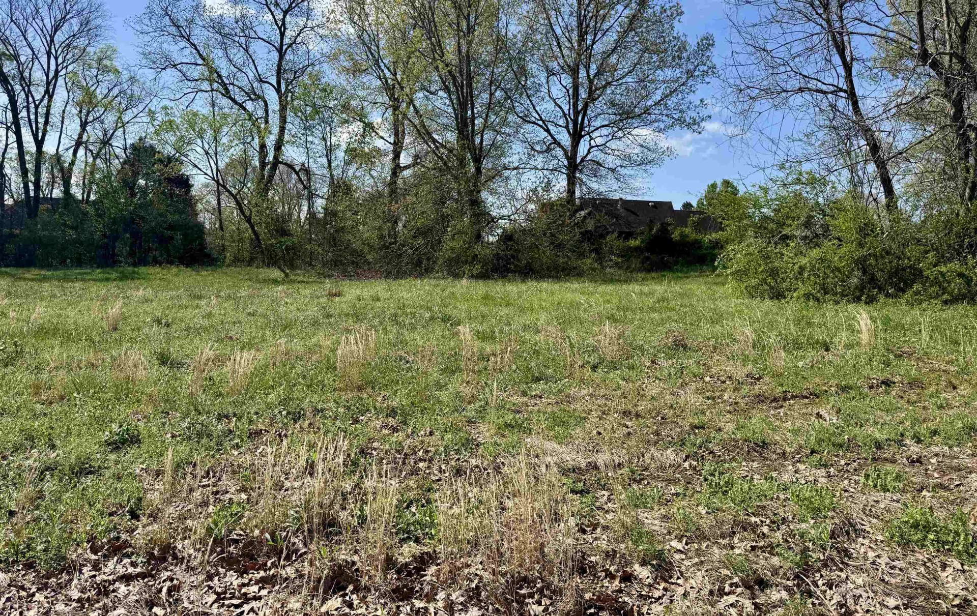 059 YORK CMNS, Ripley, TN, 38063