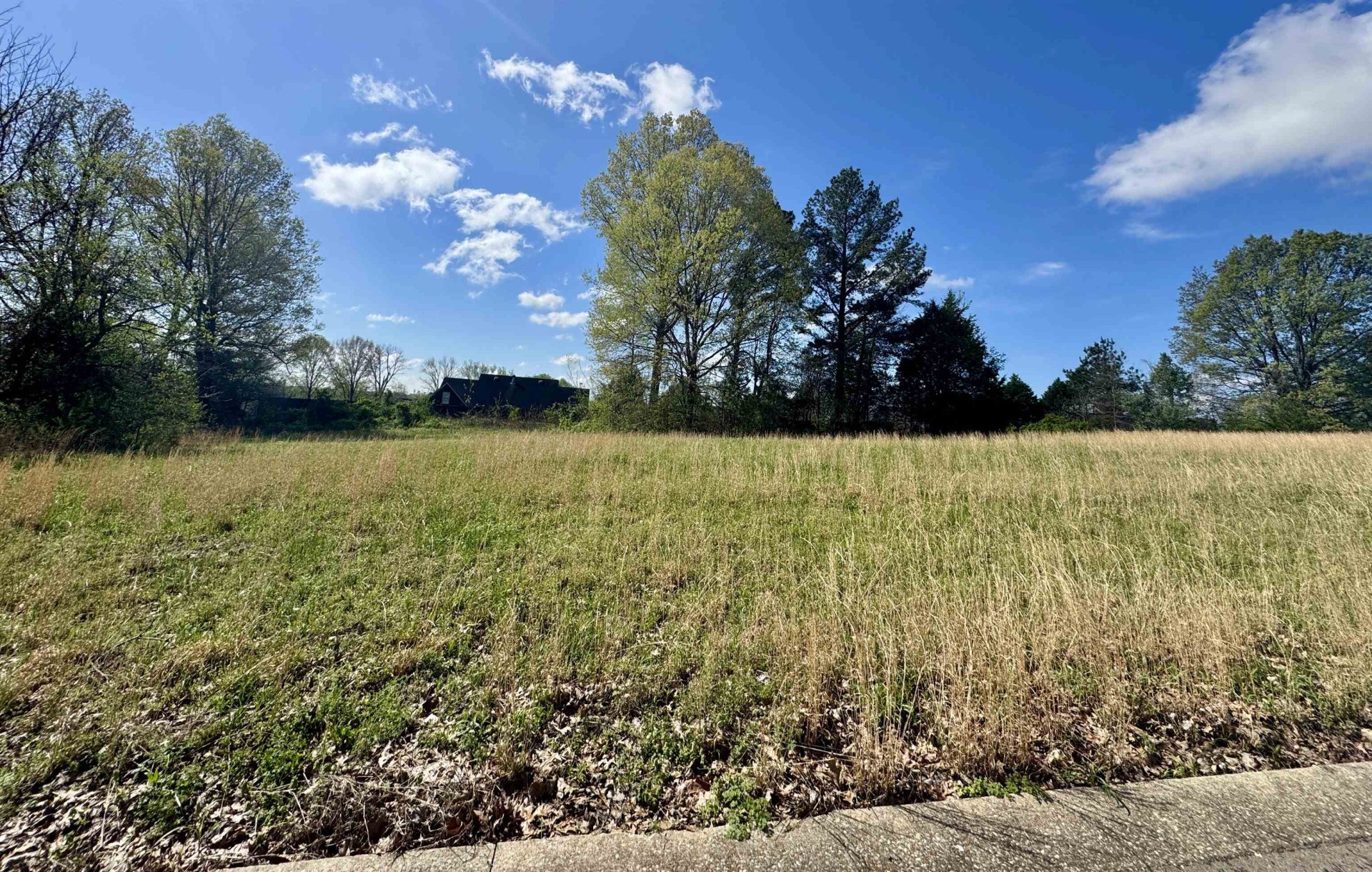 060 YORK CMNS, Ripley, TN, 38063