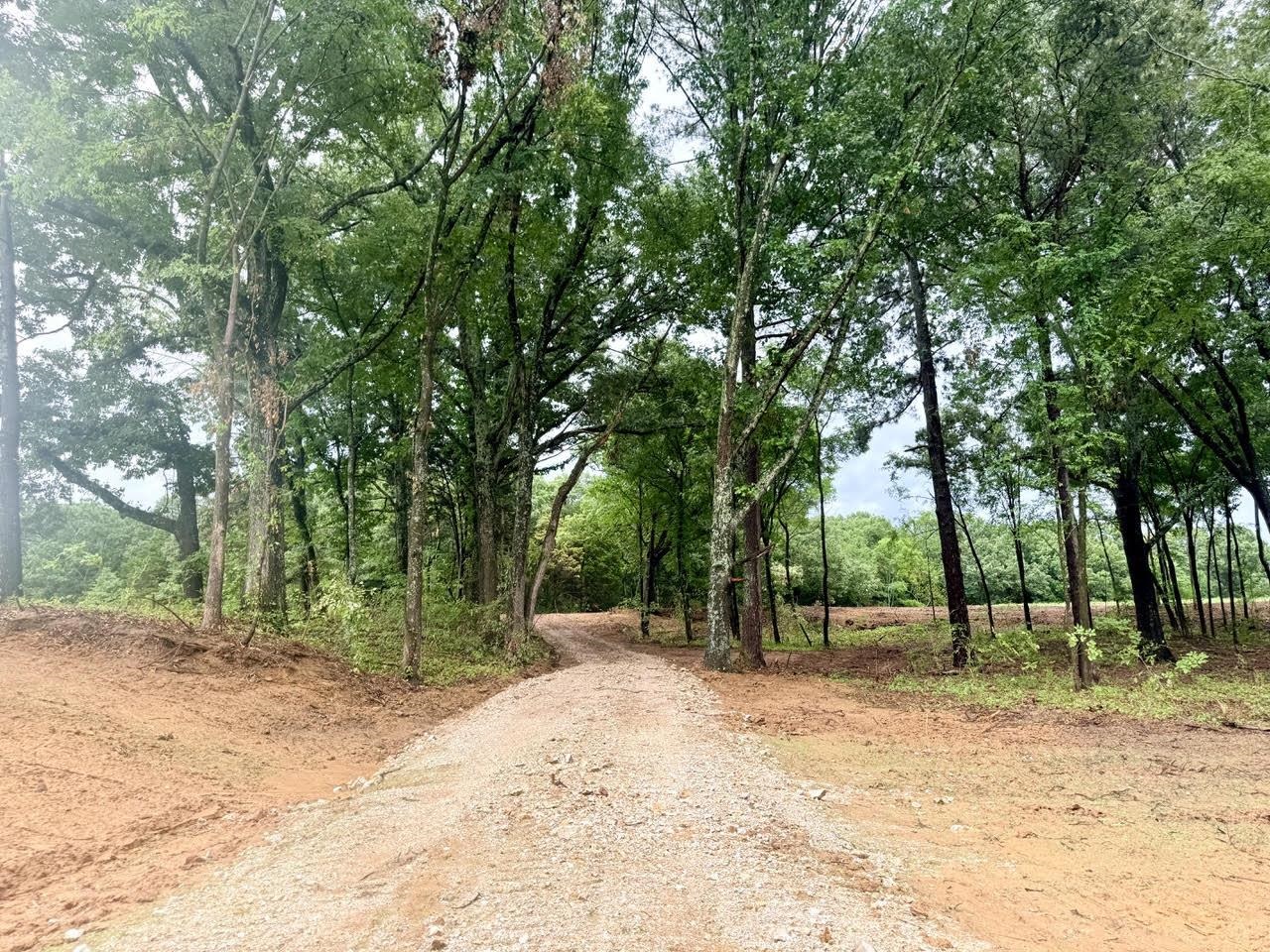 YOUNG CEMETARY, Gadsden, TN, 38337