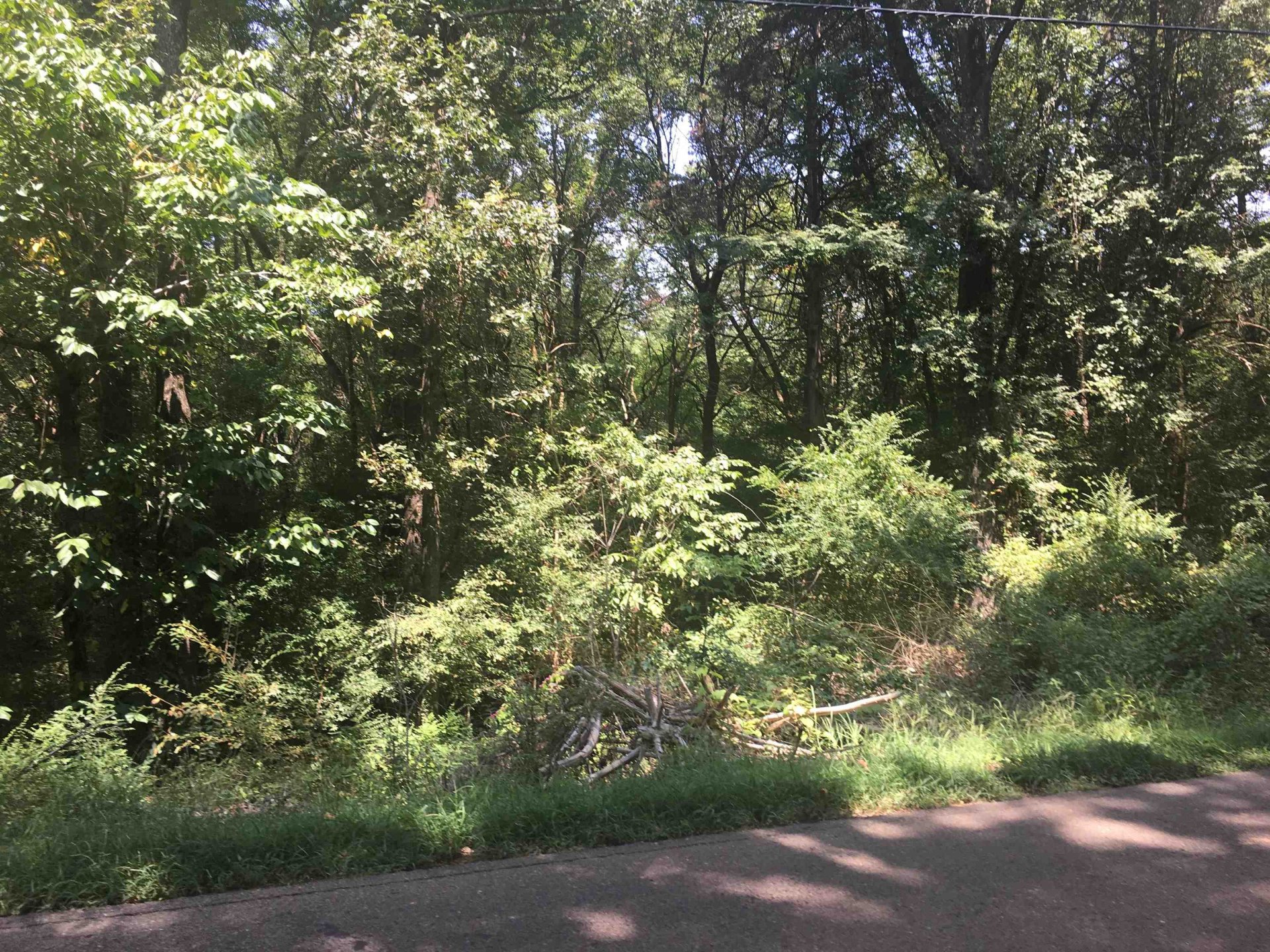 3837 CANADA, Lakeland, TN, 38002