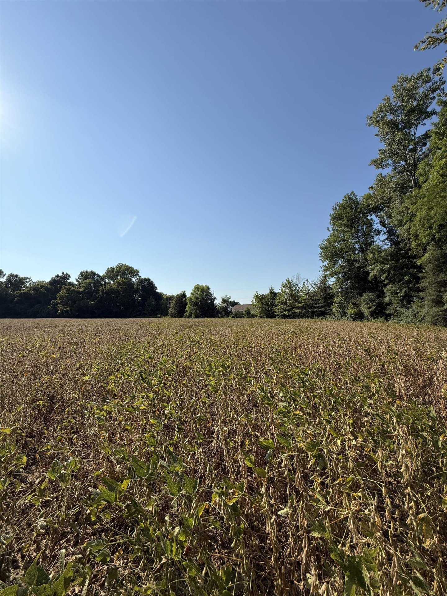 SLEDGE, Millington, TN, 38053
