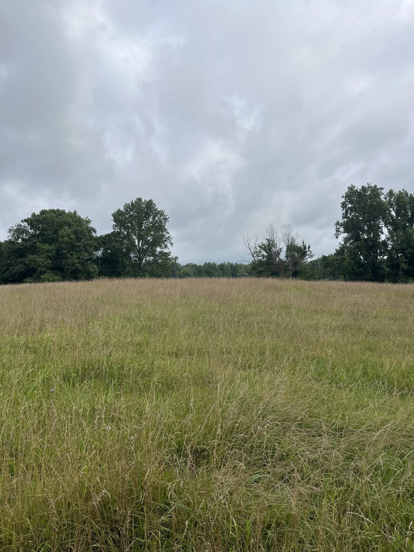 899 EL SMITH, Monroe, TN, 38573