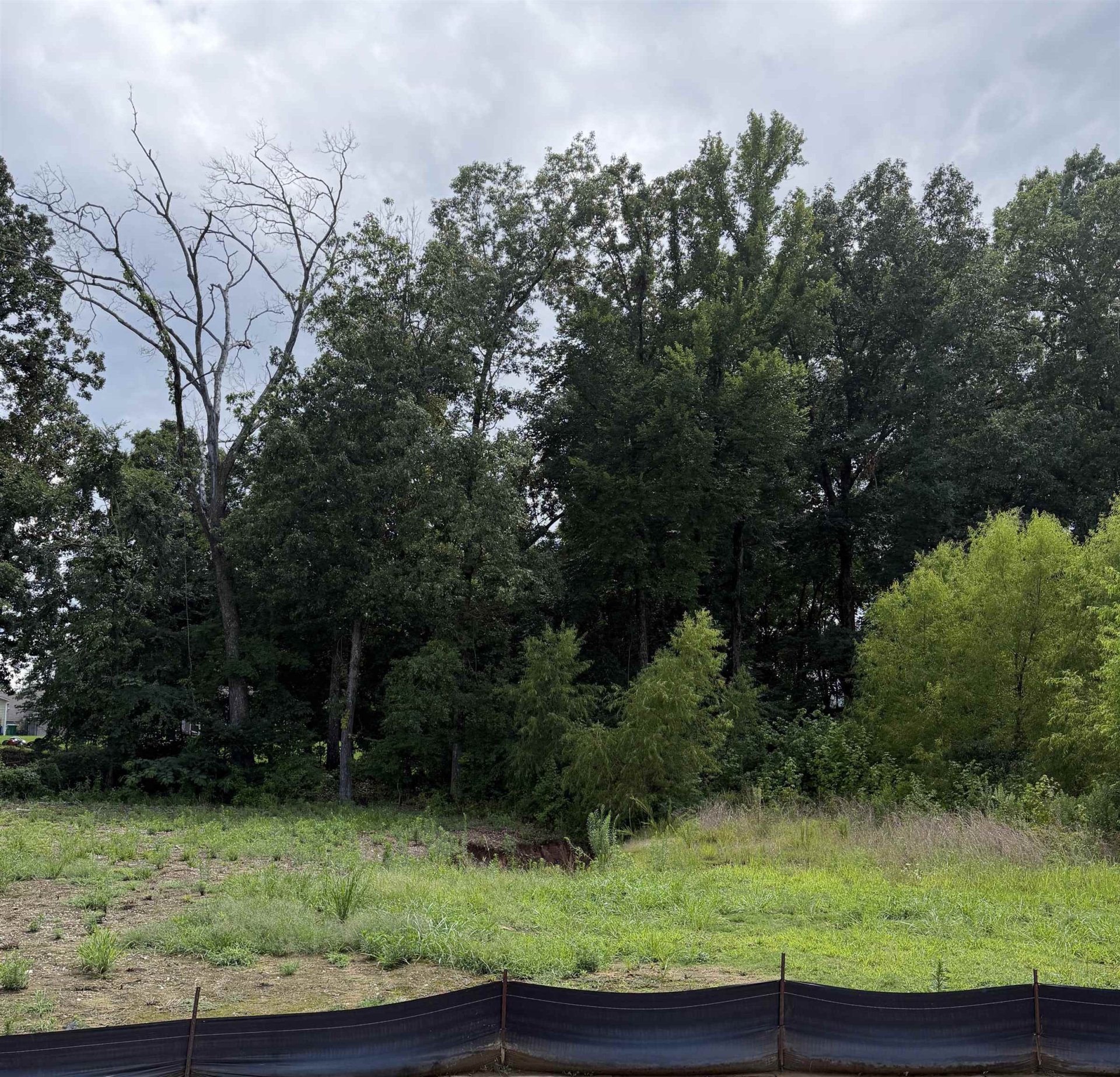 105 MISTY MEADOW, Oakland, TN, 38060