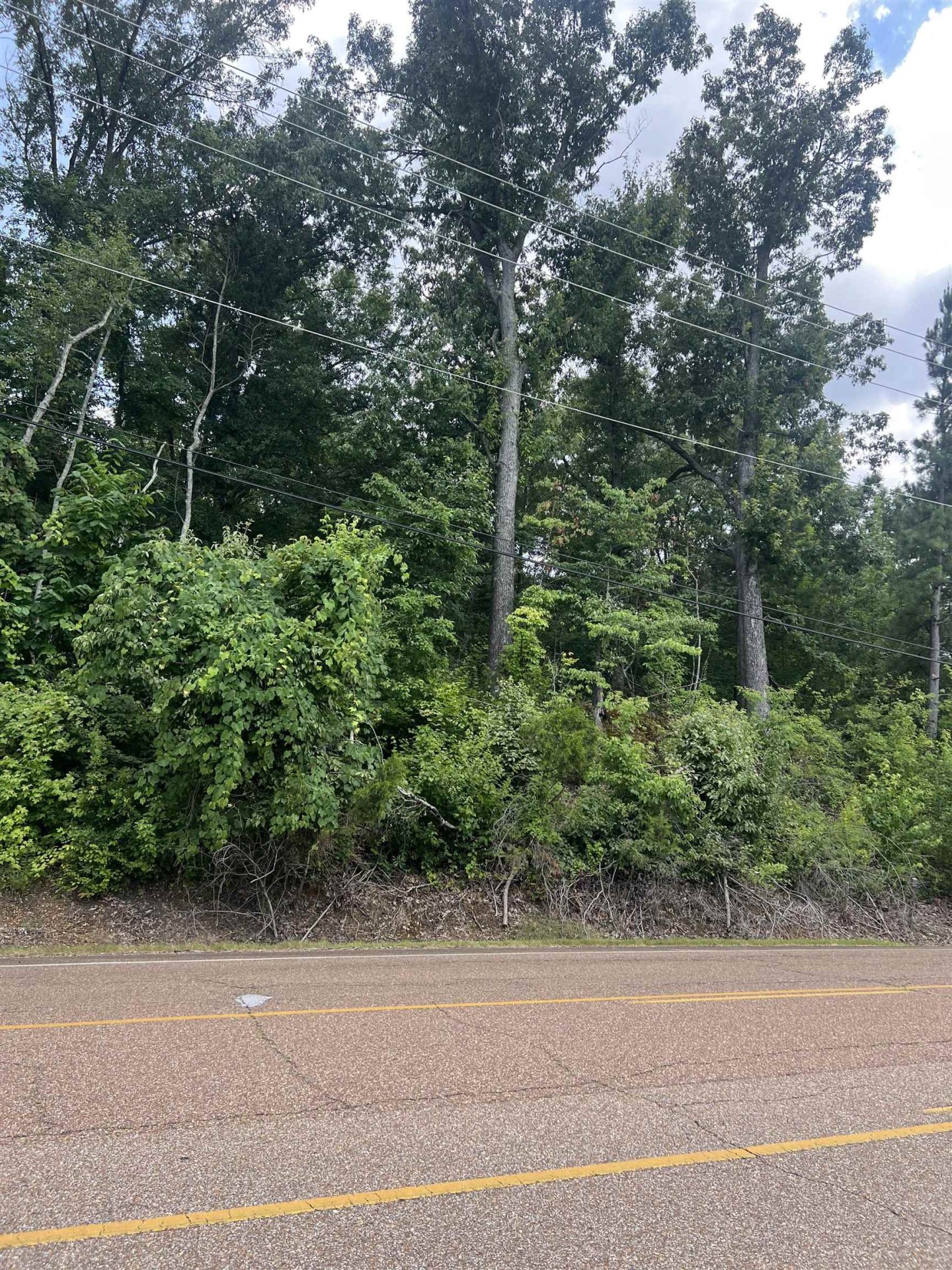 8207 OLD BROWNSVILLE, Bartlett, TN, 38002