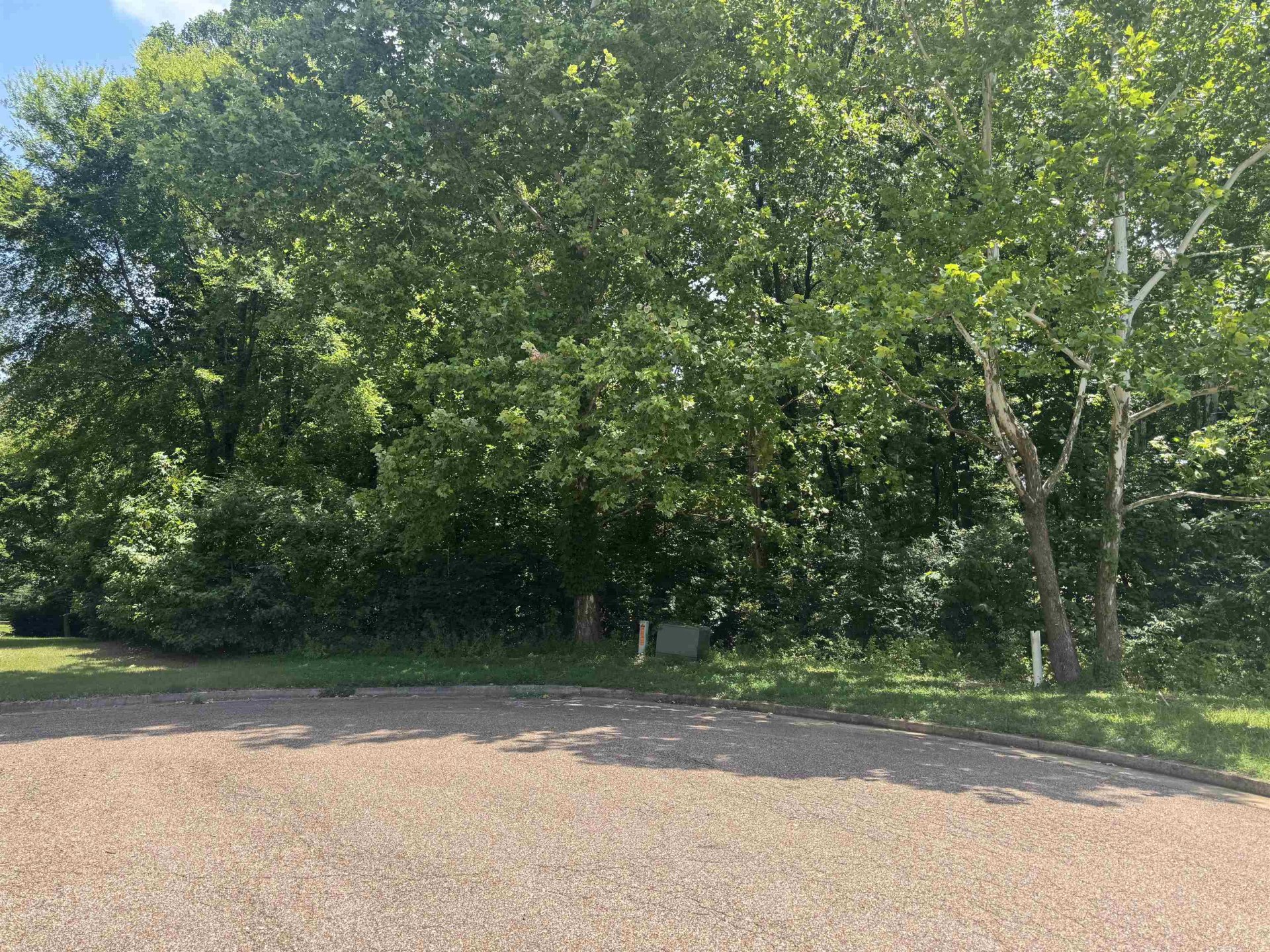422 SCOTTSCRAIG CV