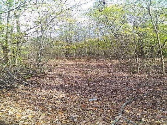 PAYTON, Millington, TN, 38053