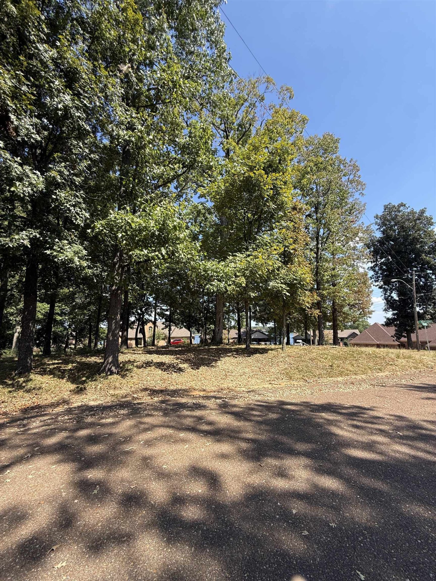4160 WHITE CEDAR CV