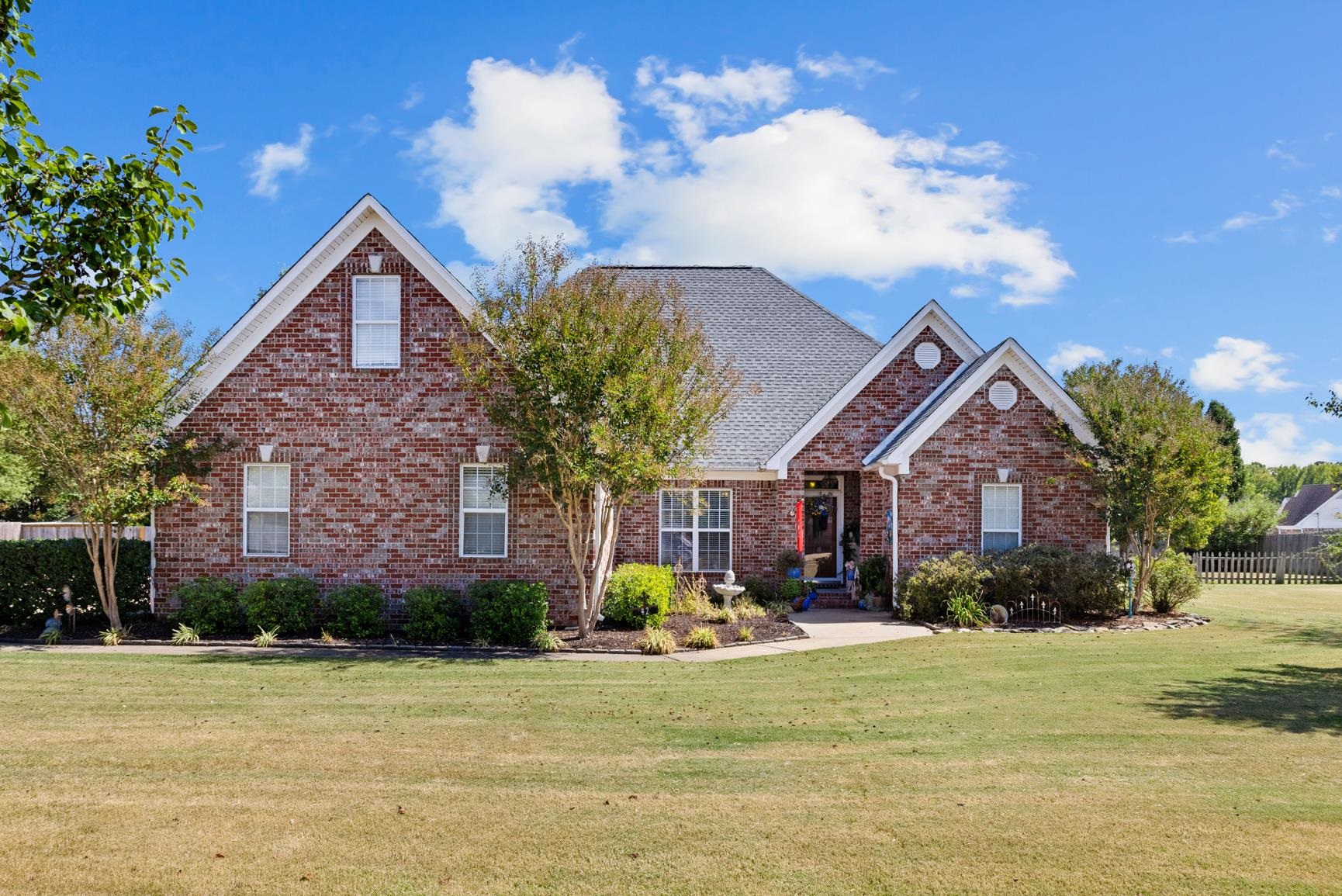 42 AMBER TREE CV